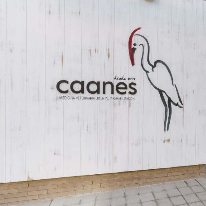 Centro caanes