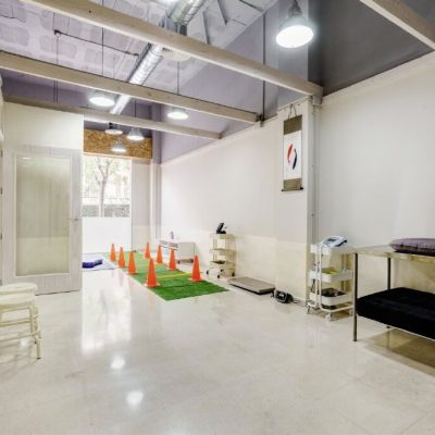 Clinica-Veterinaria-Caanes-Alicante_10
