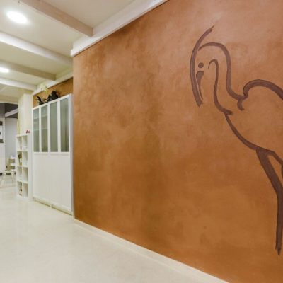 Clinica-Veterinaria-Caanes-Alicante_3-1024x682